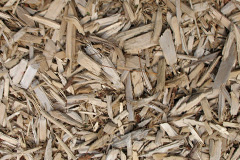 biomass boilers Wrangaton